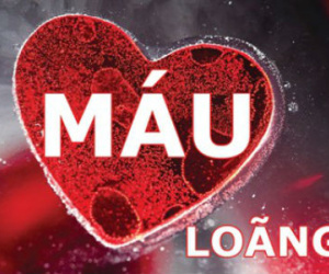 Người bị loãng máu nên ăn gì để máu đông?
