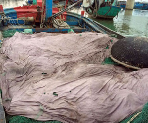 Bùn “lạ” làm hại ngư dân Quảng Trị
