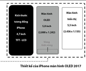 Ảnh bìa bài viết 431678