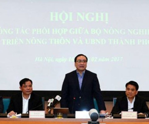 Hà Nội muốn xây chợ đầu mối 250 triệu USD kiểm soát thực phẩm
