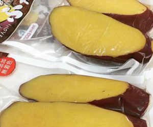 Khoai lang Nhật 500 ngàn/củ, chị em chia nhau từng lát