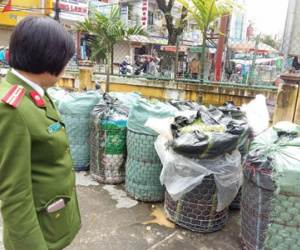 Tịch thu 800 kg giá đỗ bị ngâm thuốc kích thích độc hại