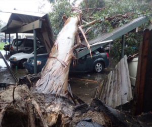 Bão lớn càn quét California