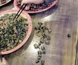 Gọi 1 con gà, khách hàng bàng hoàng phát hiện sự thật khó tin trong đĩa thức ăn
