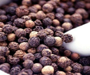 Thông tin này khiến người trồng hồ tiêu ở Việt Nam như đang ngồi trên đống lửa