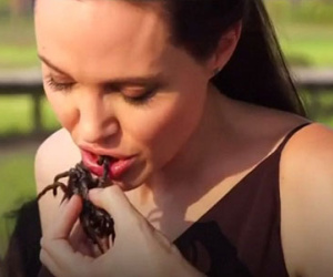 Angelina Jolie và các con ăn nhện, bọ cạp ở Campuchia