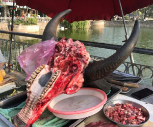 Đầu trâu nguyên răng, xương sườn nguyên bộ giữa chợ Hà Nội