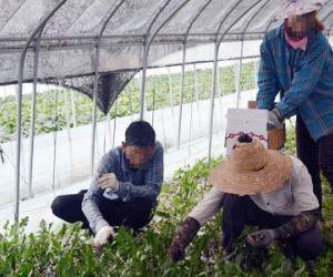 Lao động “chui” - khổ nhục và rủi ro cao