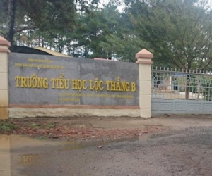 Làm rõ thông tin 10 HS lớp 1 bị con trai cô giáo sàm sỡ