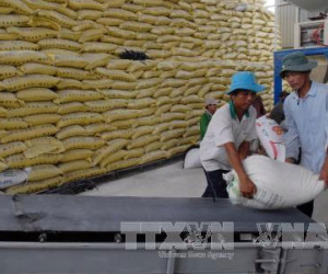 Xác minh việc xin giấy phép xuất khẩu gạo phải "lót tay" 20.000 USD