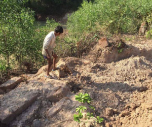 Đi tảo mộ phát hiện mất mộ người thân