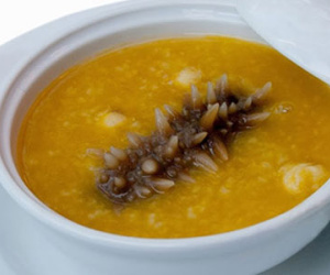 Hải sâm bổ thận, tráng dương