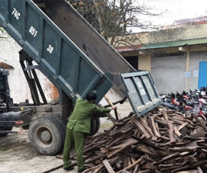 Hơn 2 tấn gỗ lậu dưới tấm bạt phủ kín