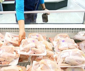 Sốc: Đùi gà Mỹ giá chỉ 7.000 đồng/kg, gà Việt khốn đốn