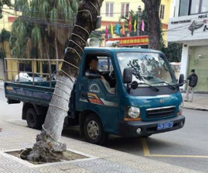 Đà Nẵng phạt nguội xe biển xanh đậu sai quy định từ phản ánh của người dân qua Facebook