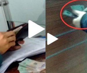 Bộ Tài chính lên tiếng vụ hải quan nhận tiền “bôi trơn“