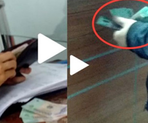Lật tẩy cảnh “bôi trơn” hải quan ở cảng Hải Phòng
