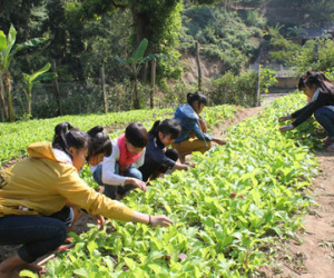 Những "thiếu phụ" tuổi... 13