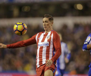 "Thủ phạm" gây bất tỉnh được Torres tha thứ