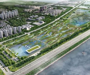 TQ sắp xây "sân bay" dành cho chim đầu tiên trên thế giới