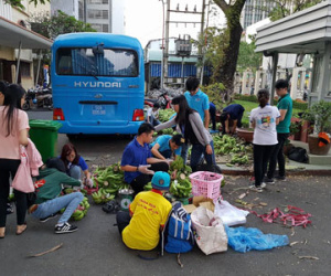 Còn hàng chục nghìn tấn chuối đang chờ được “giải cứu”!