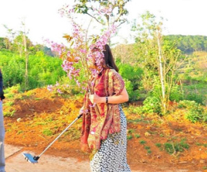 Nữ du khách phá hoại mai anh đào khiến người Đà Lạt giận dữ