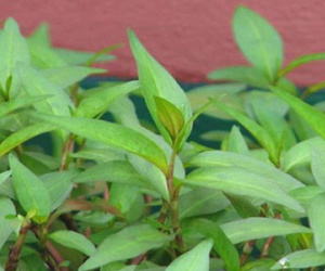 Ảnh bìa bài viết 436025