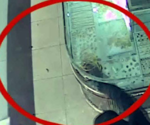 Clip: Cướp tiệm vàng nhanh như chớp ở TP.Hà Tĩnh