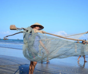 Lập 4 đoàn thanh tra việc bồi thường thiệt hại do Formosa gây ra