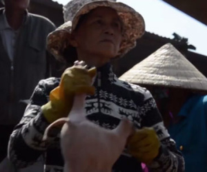 Video: Những phụ nữ bồng heo thuê ở Quảng Ngãi