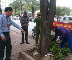 Ảnh bìa bài viết 437345