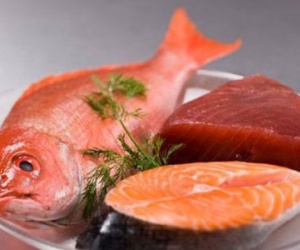 Thịt cá không nên cấp đông nhiều lần