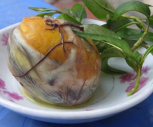 Trứng vịt lộn - bổ dưỡng quá hóa sinh bệnh