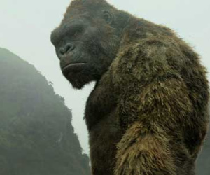 Kong: Skull Island kiếm được gần 143 triệu đôla sau 2 ngày ra rạp