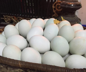 Trưởng phòng trộm trứng hội chợ về cho cấp dưới