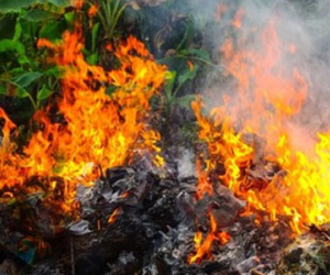 Đang đốt rác, cụ bà 83 tuổi ngã vào lửa tử vong