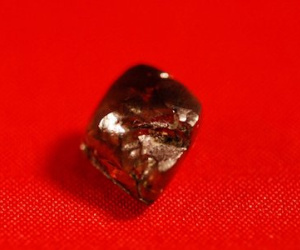 Mỹ: Đang tản bộ, nhặt được kim cương nâu lớn nhất 40 năm