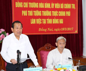 Phó thủ tướng: Làm rõ tổ chức tội phạm sau lưng 'cát tặc'