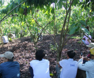 Thi thể nam thanh niên đầy máu trong rẫy cà phê