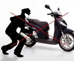 Lĩnh án vì ăn trộm của... trộm