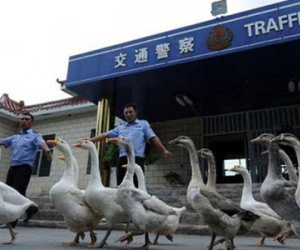 Những điều lạ lùng chỉ có thể thấy ở Trung Quốc