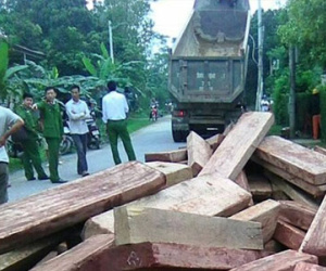Tài xế đổ 20 m3 gỗ nghi hàng lậu xuống đường khi bị bắt giữ
