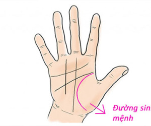 Tự xem số phận mình qua bàn tay chính mình: Bí ẩn đường sinh mệnh trong lòng bàn tay