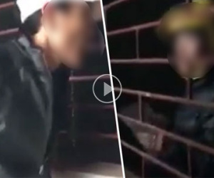 Clip: Đi theo sau, chồng bắt gặp vợ đi vào nhà cùng hai trai lạ