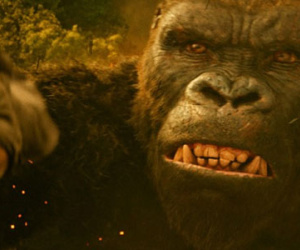 Thu 150 tỷ đồng, "Kong" xô đổ mọi kỷ lục phòng vé ở Việt Nam