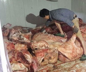 Bắt giữ trên 4 tấn thịt thối suýt biến thành "lợn hun khói"