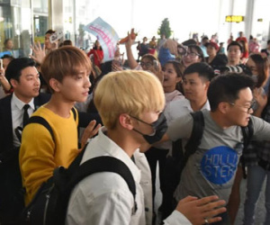 Seventeen được fan Việt chào đón bằng cà rốt