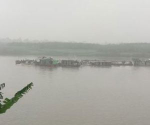 "Cát tặc" vẫn hoành hành lúc nửa đêm