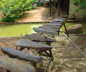 Ảnh bìa bài viết 441033