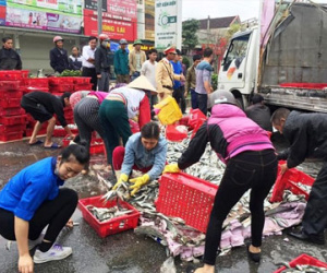 Lật xe tải, hàng tấn cá nục đổ ra quốc lộ